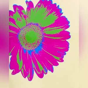 Set of 2 Pop-Art Flower Photos